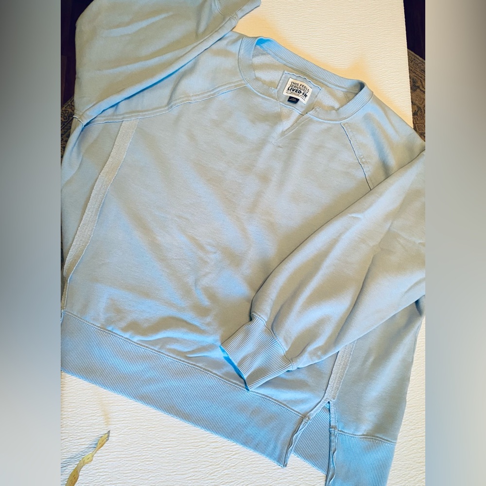 American Eagle Outfitter ‘Lived In’ Light Blue Oversized Sweatshirt
